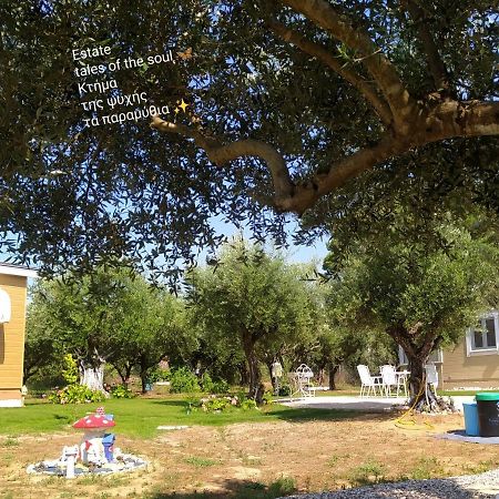 Bungalows With Private Pools "Tales Of The Soul - Της Ψυχής Τα Παραμύθια" Anemochori Luaran gambar
