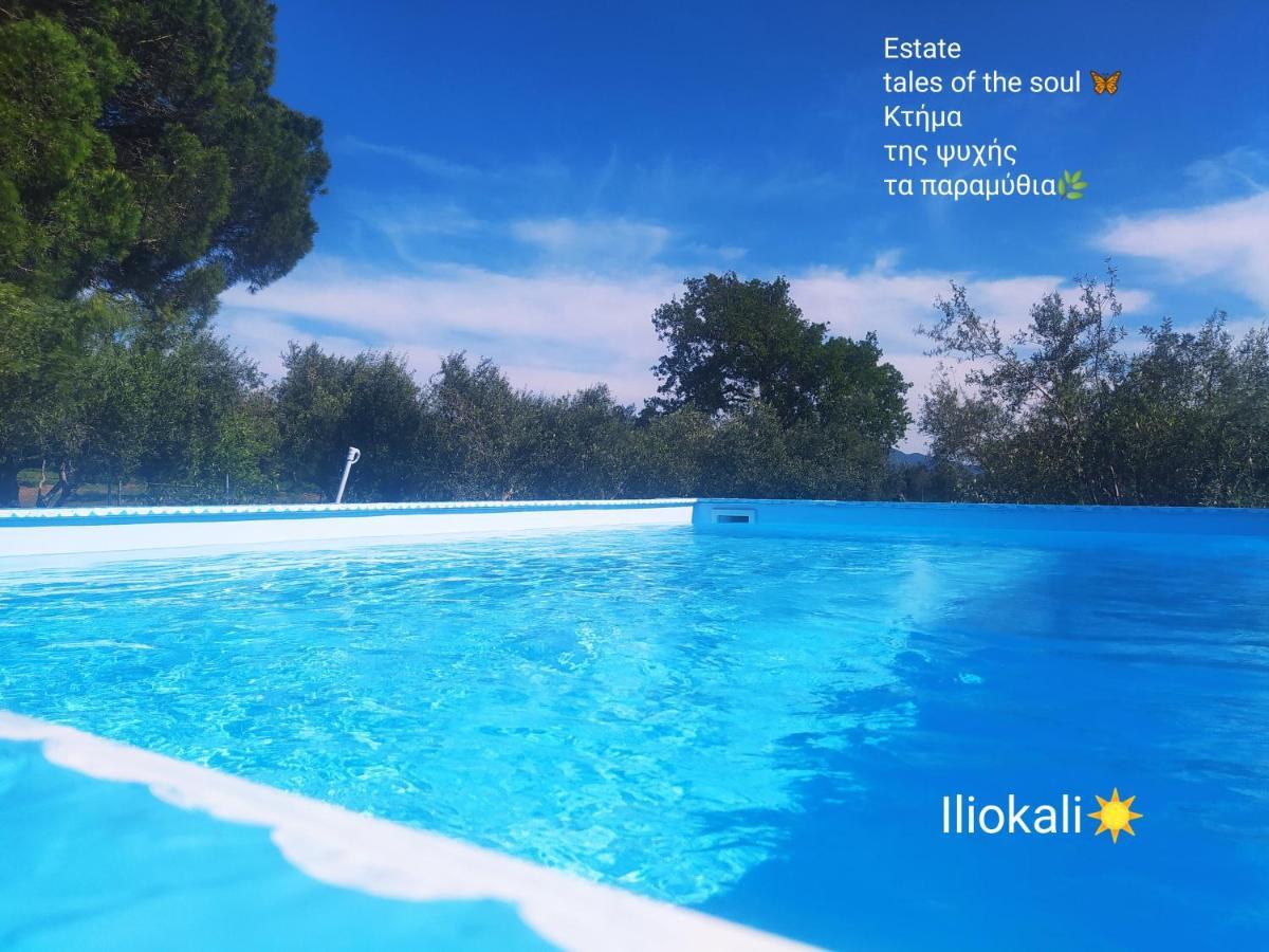 Bungalows With Private Pools "Tales Of The Soul - Της Ψυχής Τα Παραμύθια" Anemochori Luaran gambar